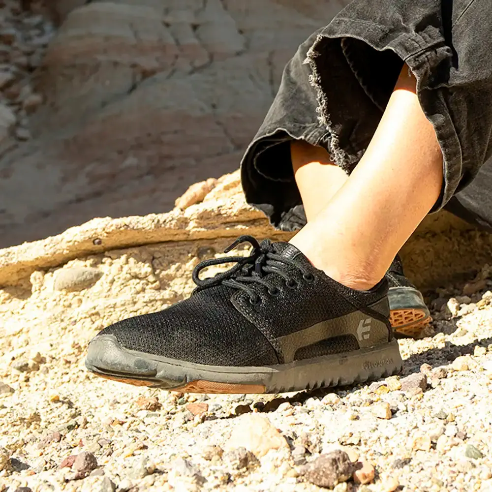 Scout - Image 6